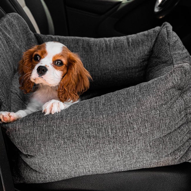 Dog Bed | Charlevoix Chevrolet in Charlevoix MI